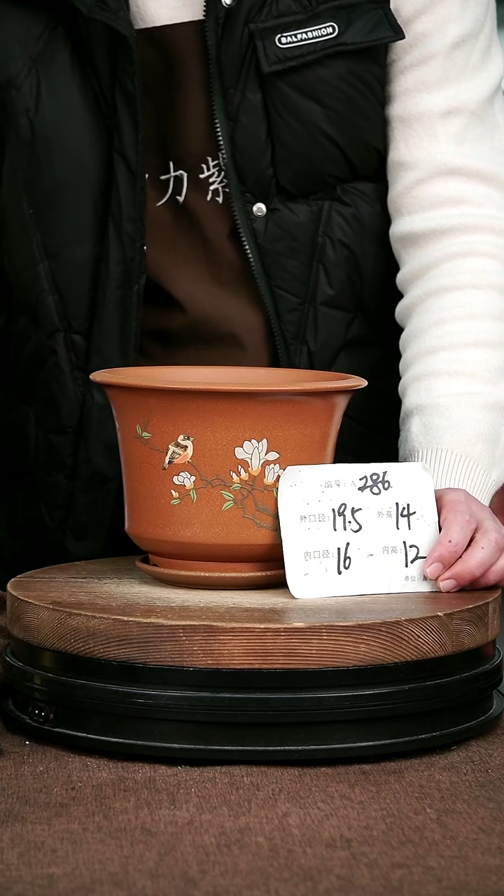 紫砂花盆花卉园艺286+Z