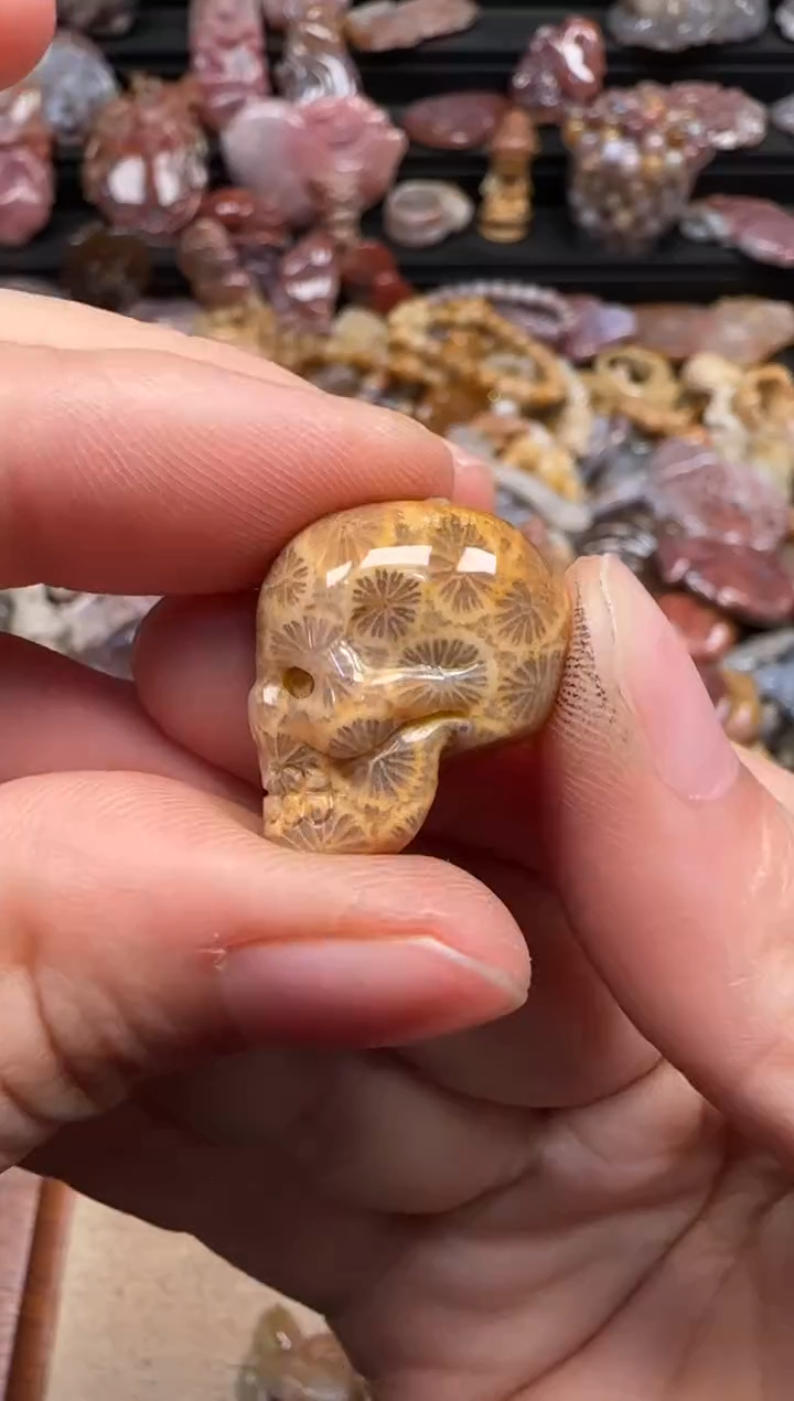 【闪购商品】硅化珊瑚（珊瑚玉）颈饰未镶嵌545