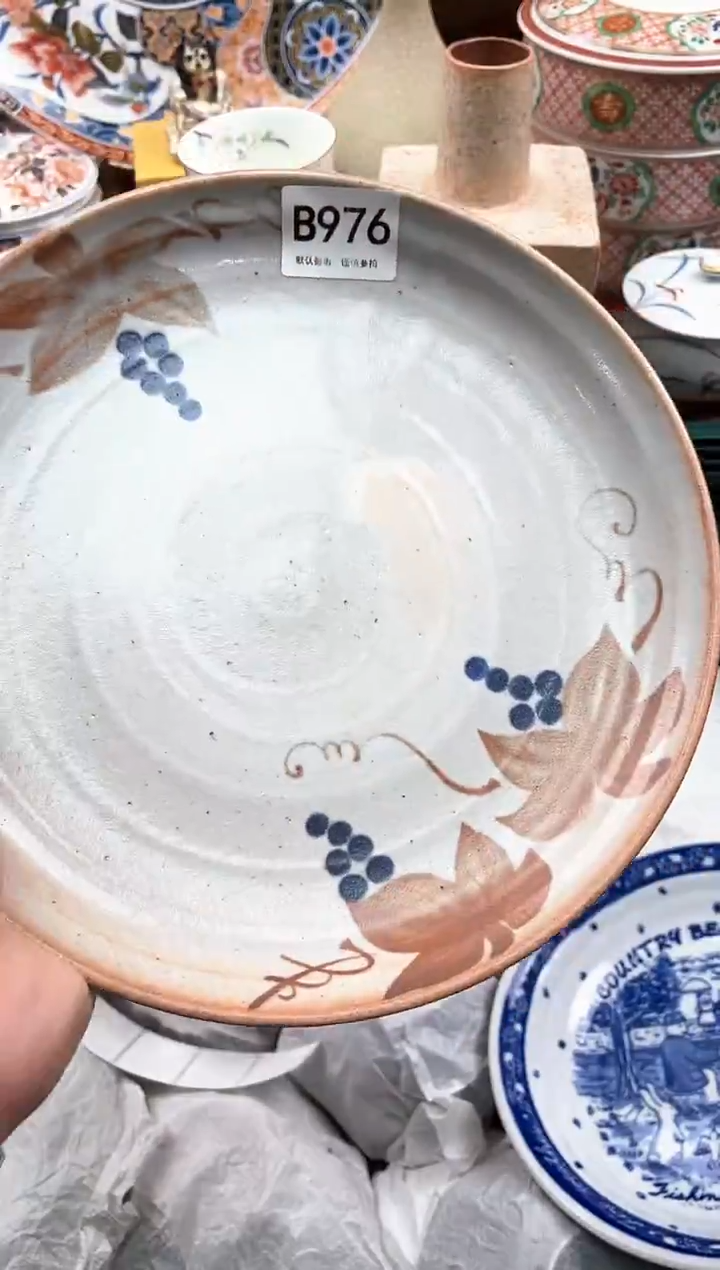 【闪购商品】瓷片976                 