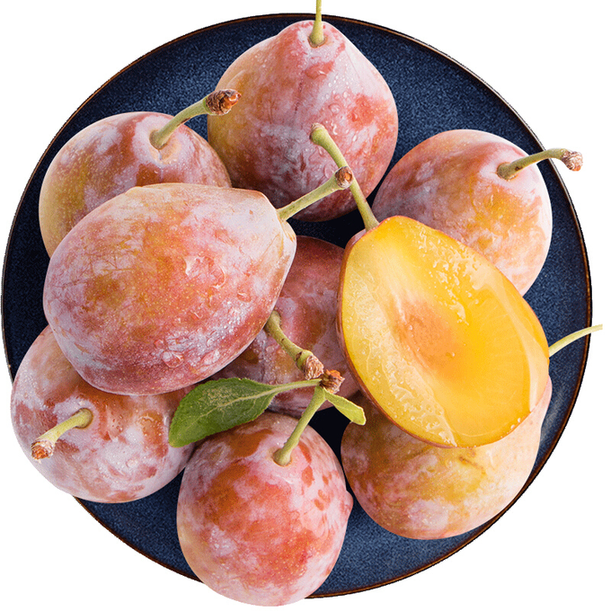 智利进口冰糖西梅 约500g