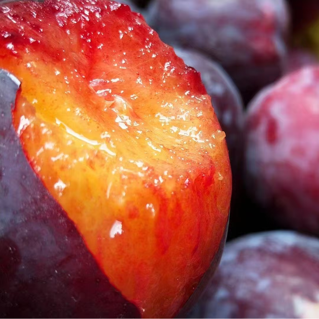 《顺丰包邮》四川大凉山红布林黄肉李子产地现摘现发五斤包邮