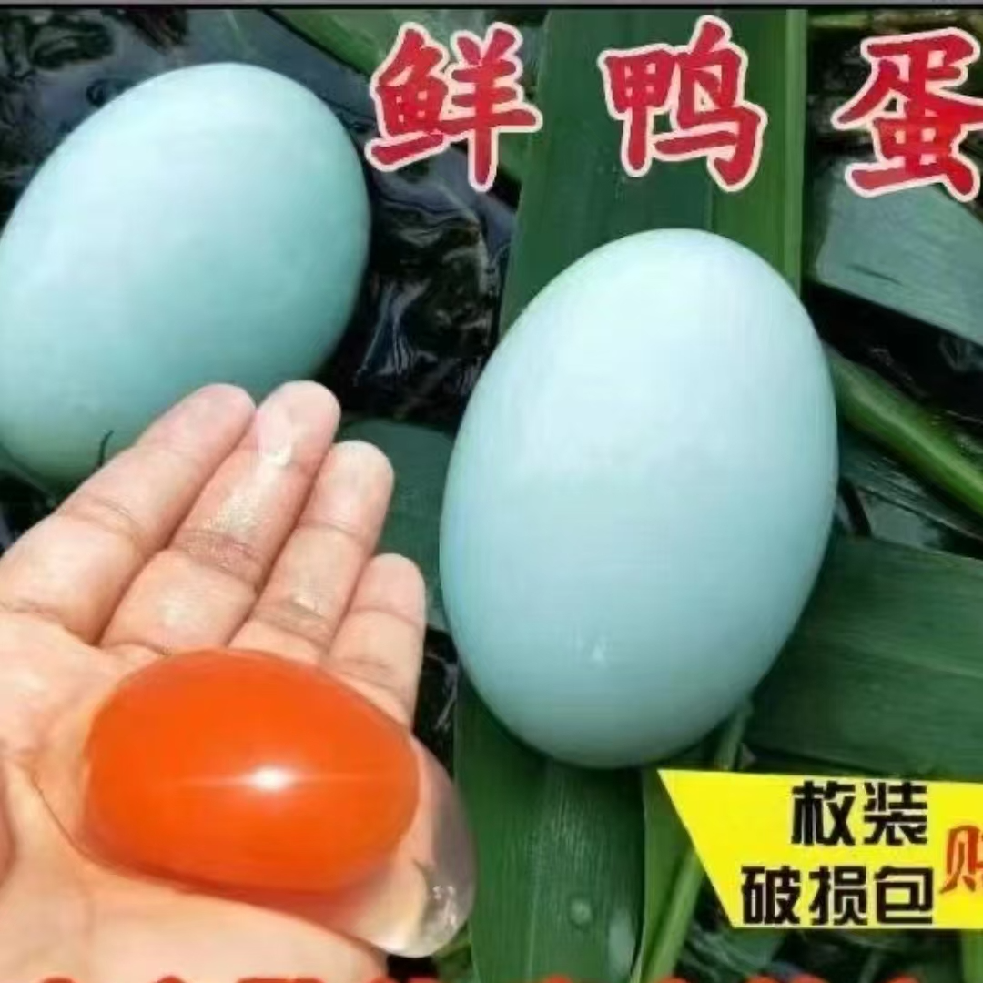 新鲜散养大个土鸭蛋农村直供30枚整箱包邮初生蛋新鲜农家土货