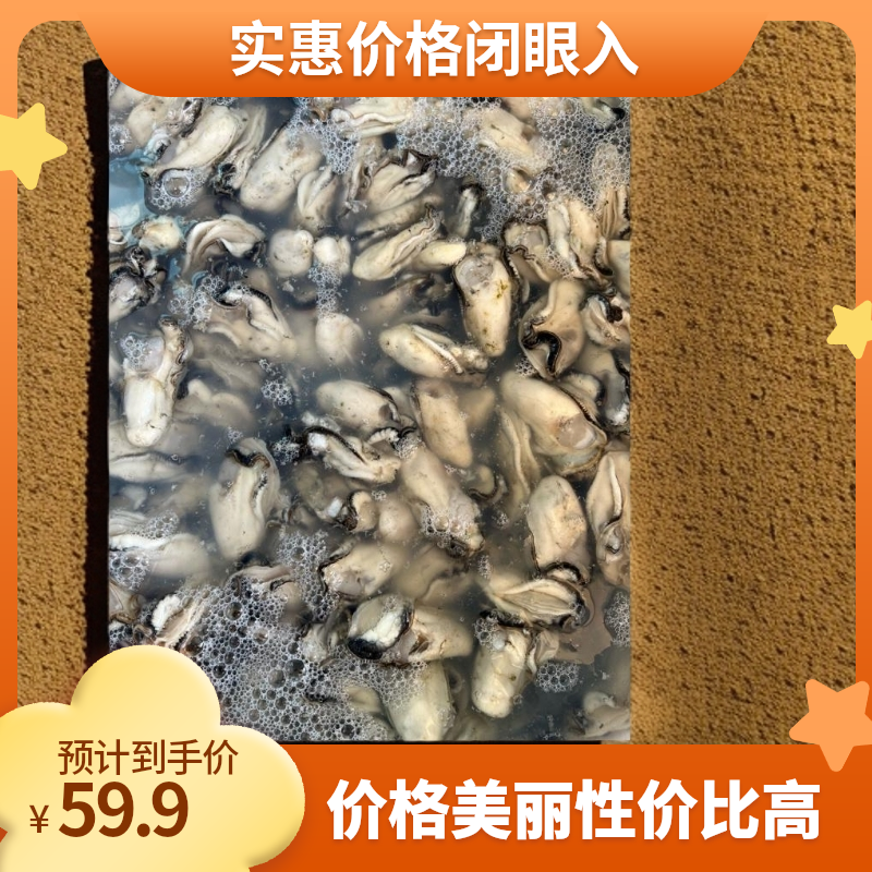 中蚝18-22粒/斤正宗汕尾辰洲生蚝肉鲜活生蚝产地海鲜省内顺丰包邮