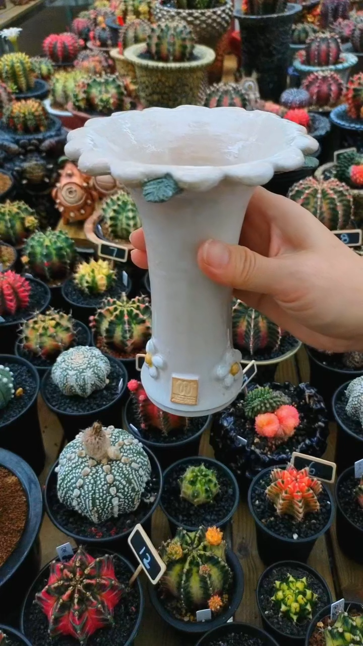 【闪购商品】陶泰国进口手工花盆个性创意花盆 