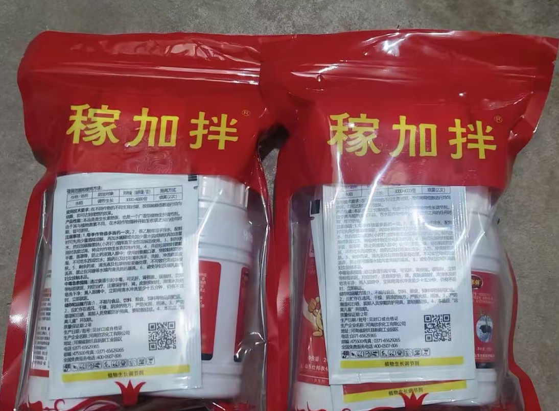 大蒜拌种方案预防根腐病让大蒜不死颗