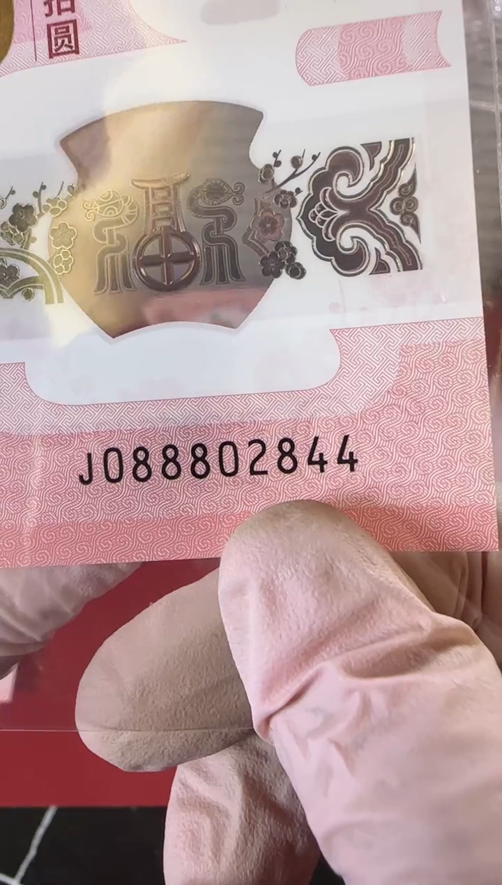 【闪购商品】塑料2025蛇钞单张裸啊啊啊啊啊啊