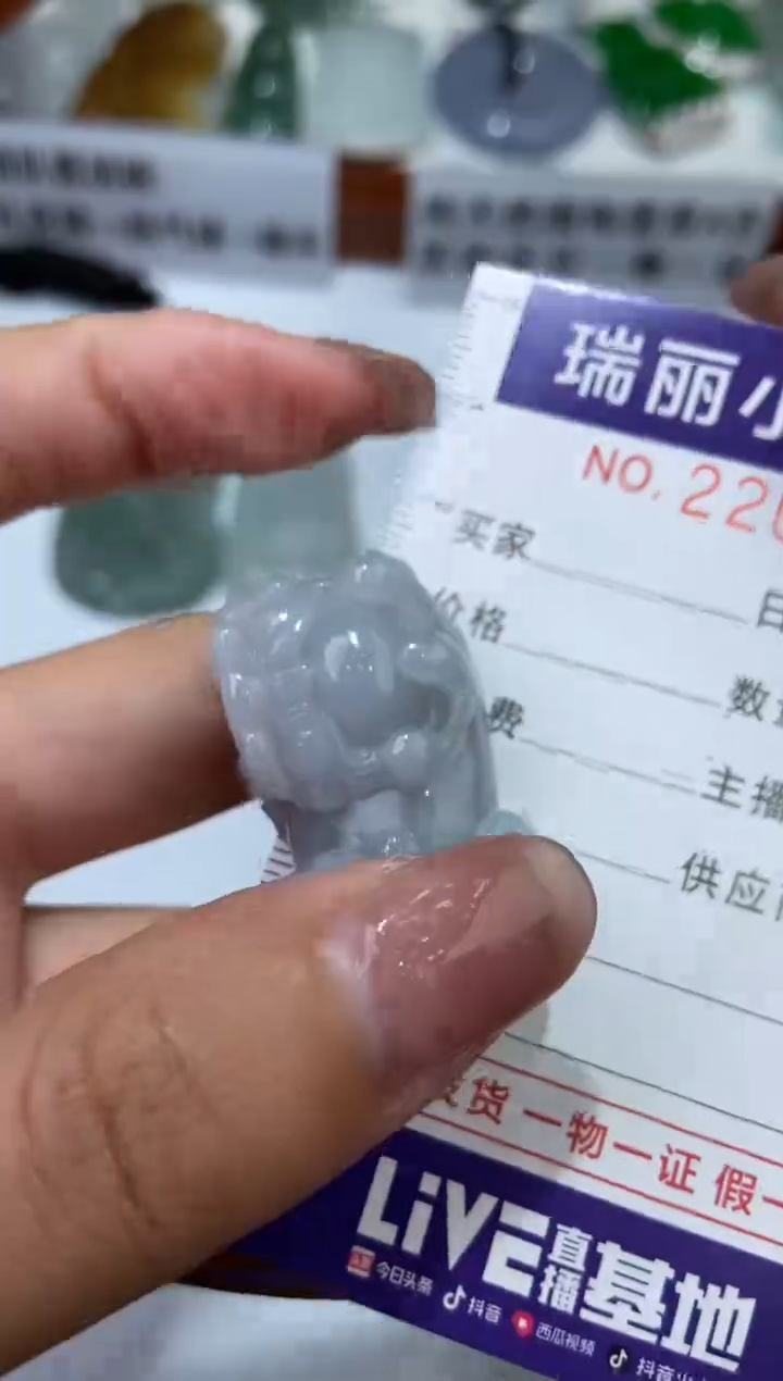 【闪购商品】翡翠颈饰未镶嵌2201079  