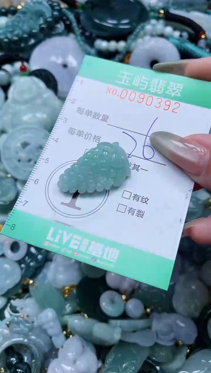 【闪购商品】翡翠颈饰未镶嵌闪购0090392