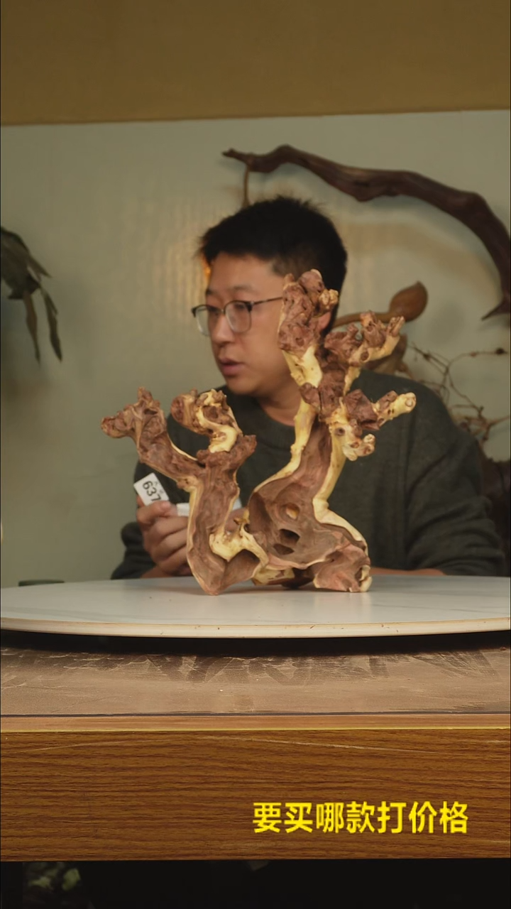 木威*根雕摆件637