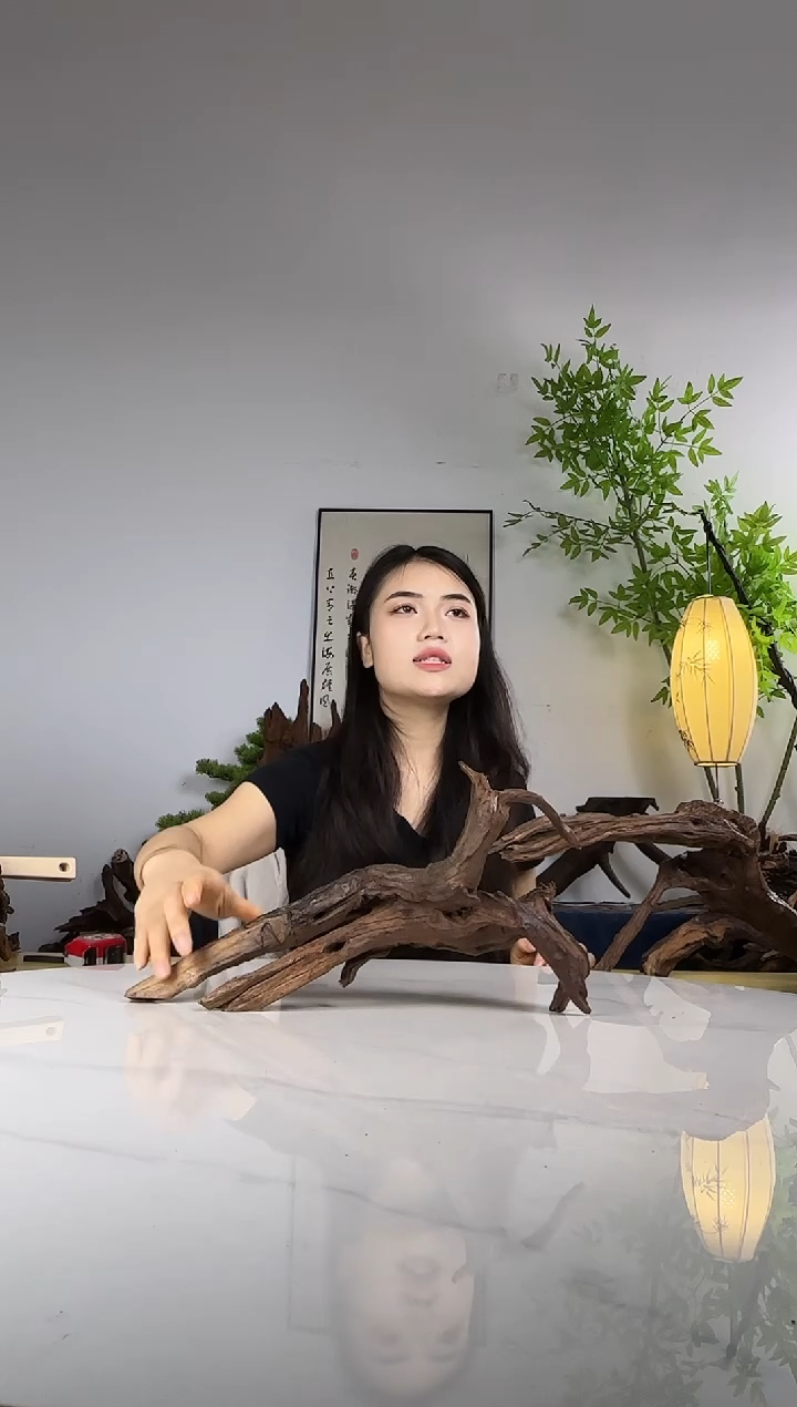 一*拍沉木定向链接编号6