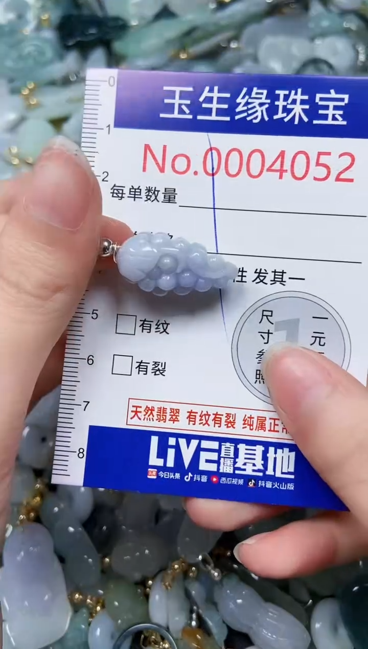 【闪购商品】翡翠颈饰未镶嵌闪购00004052