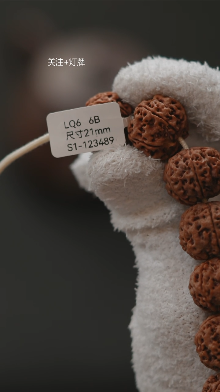 手串金刚菩提A****城原生态私人订制LQ6【虎头蜂至尊6瓣】21尺