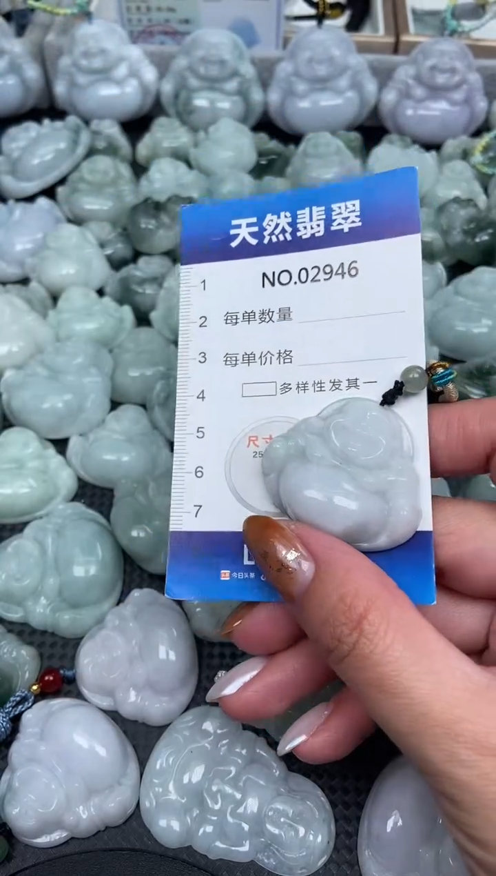 颈饰未镶嵌翡翠纯天然A货翡翠2946