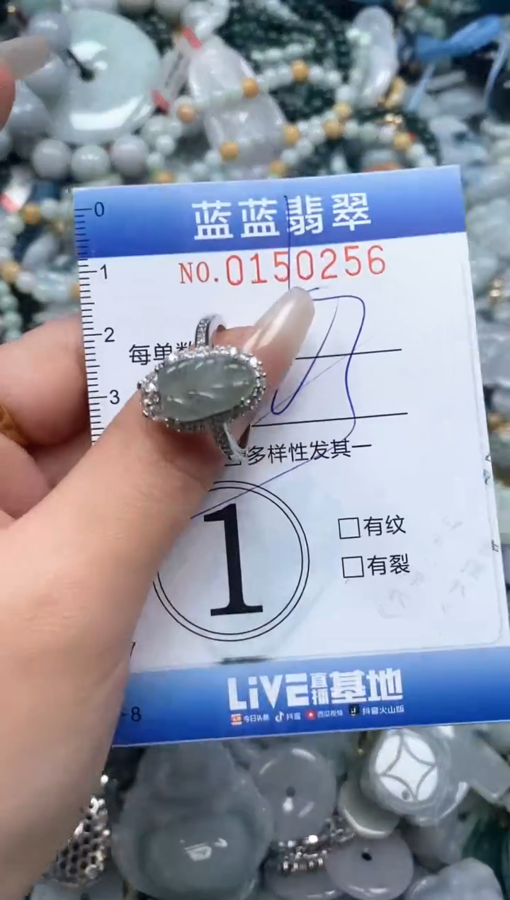 【闪购商品】翡翠颈饰未镶嵌闪购0150256多样性发其一