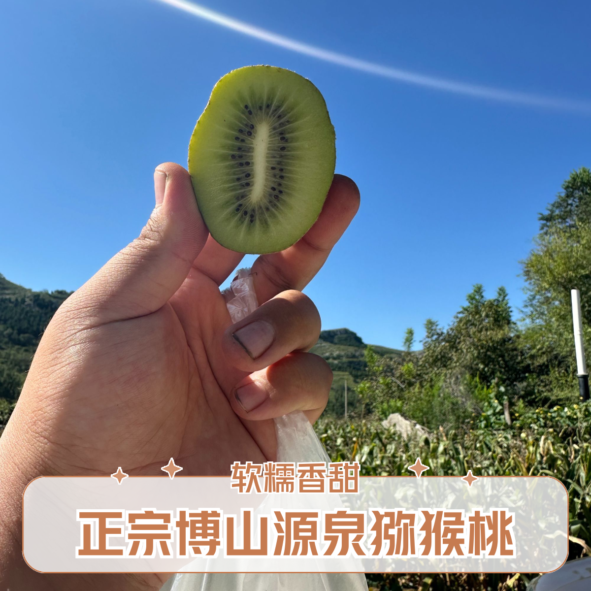 顺丰发货正宗博山源泉碧玉猕猴桃绿心奇异果新鲜香甜多汁应季水果