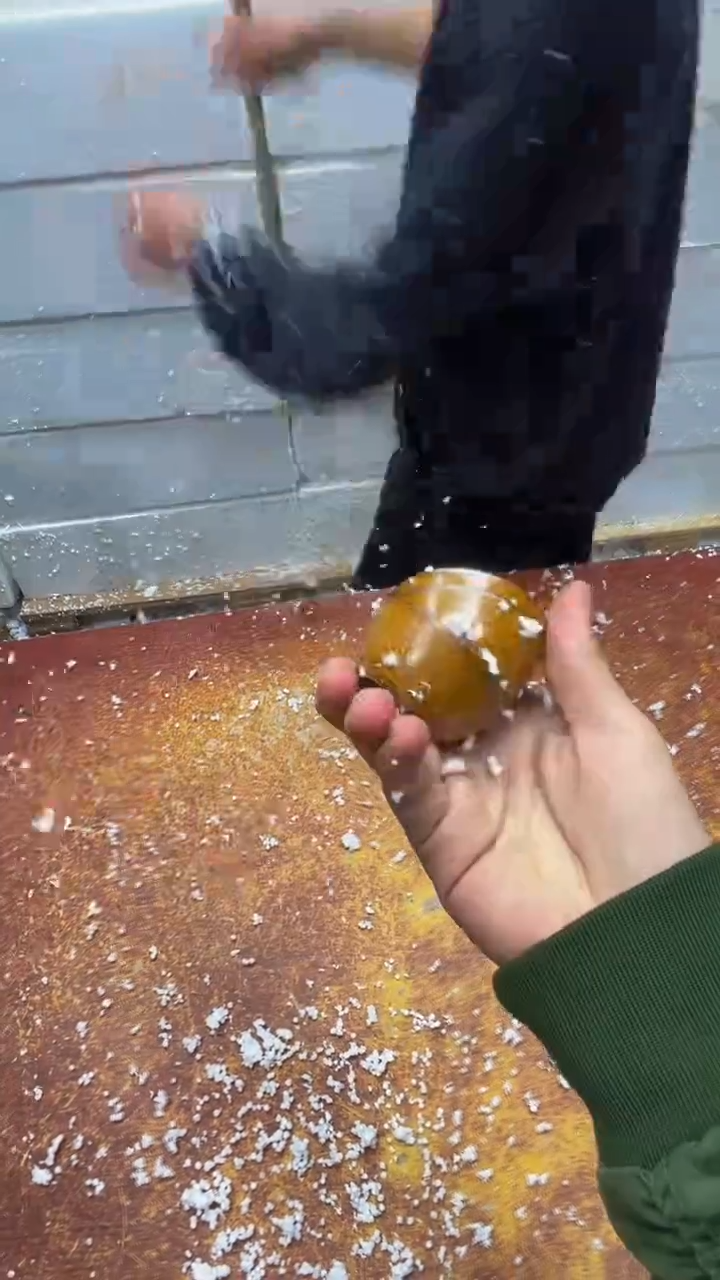 瓷片其他其他其他其他