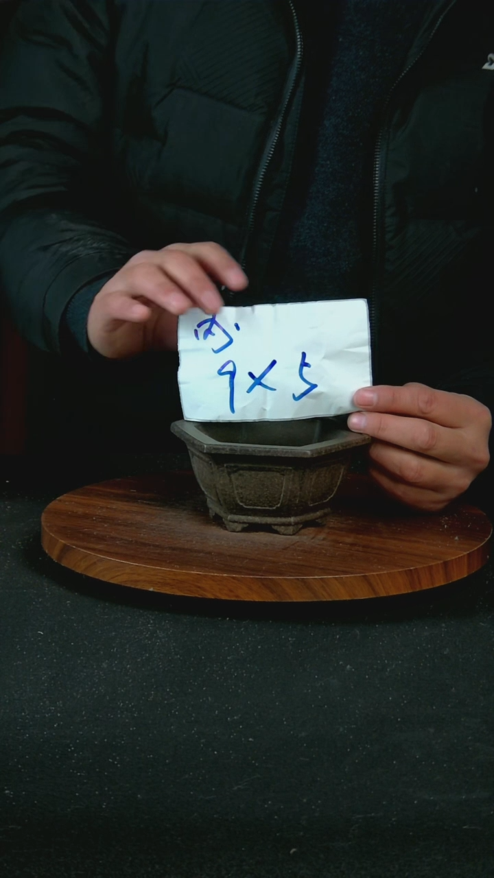 【闪购商品】紫砂H4