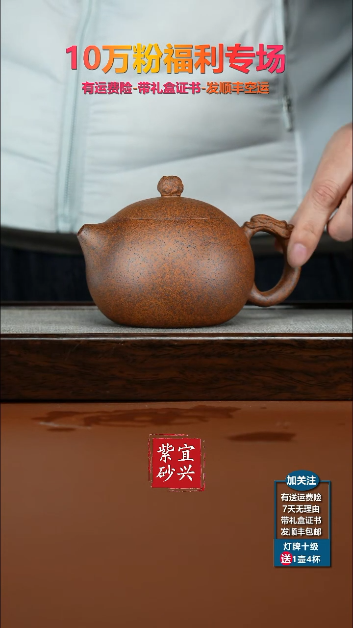 茶壶紫砂蒋静明天星泥柴烧龙把西施330CC