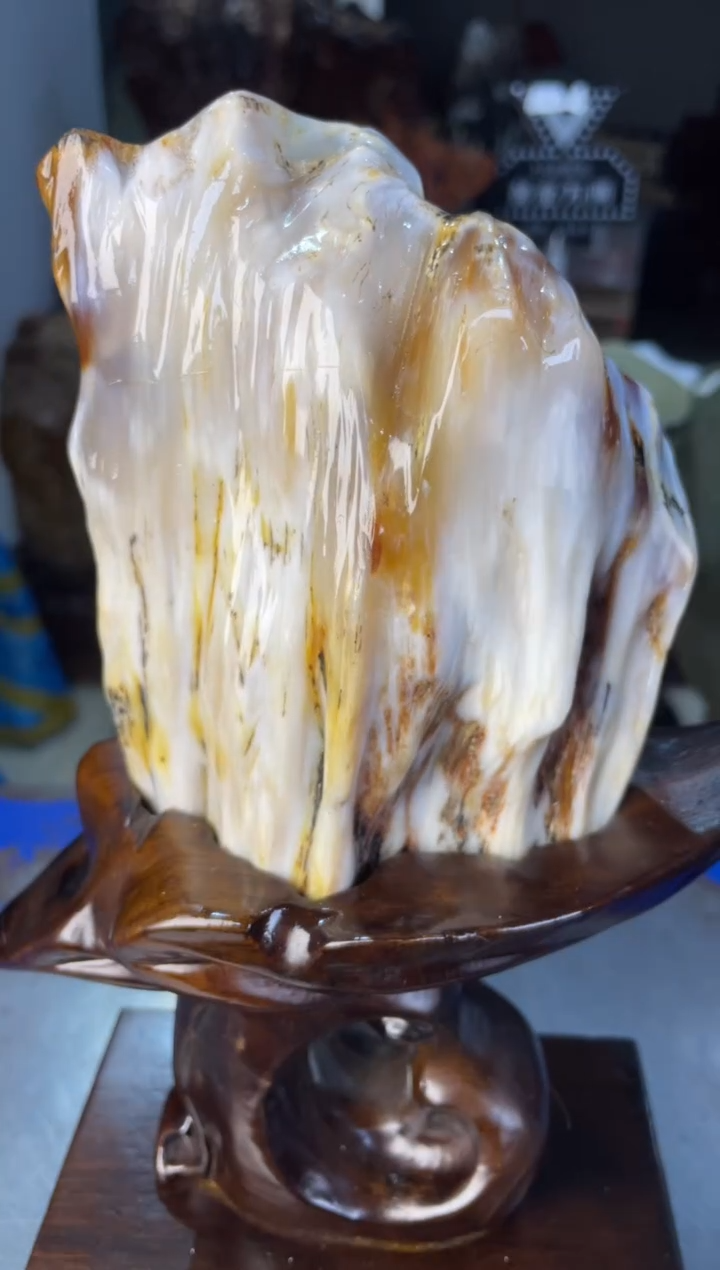 未镶嵌摆件硅化玉8