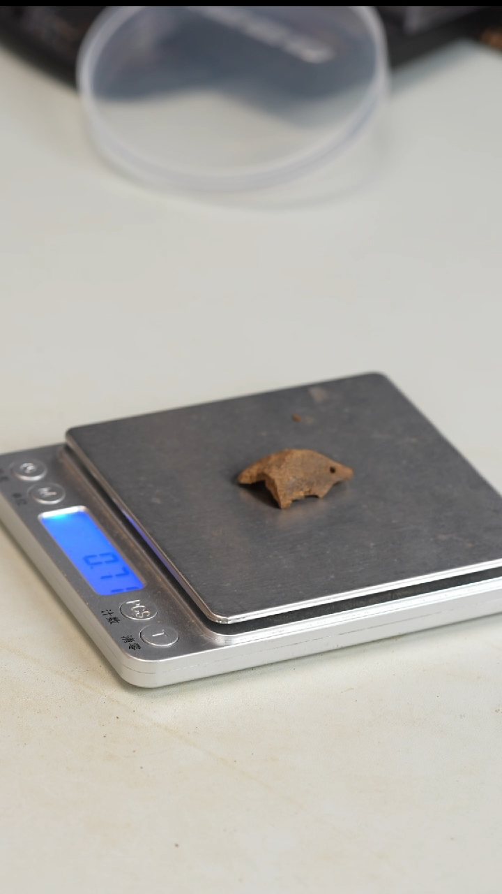 沉香沉香碎屑香港鸡母虫 0.73g