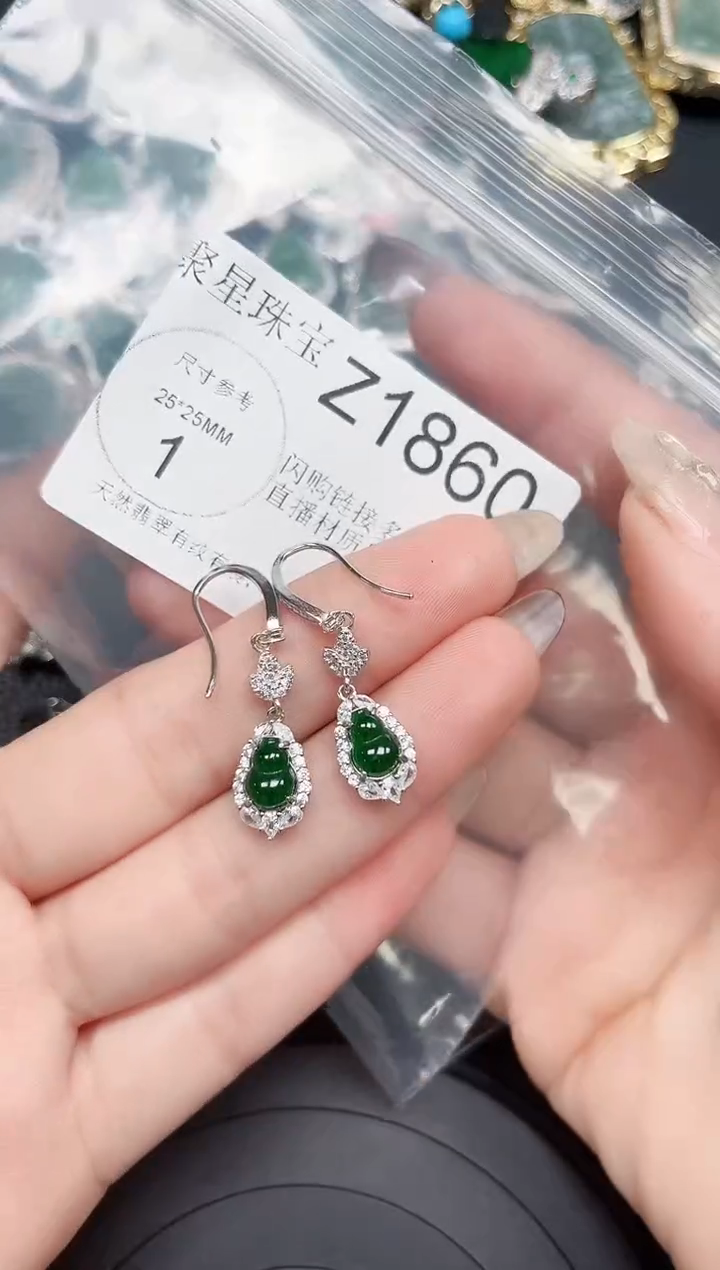 【闪购商品】翡翠颈饰未镶嵌赠皮绳1860