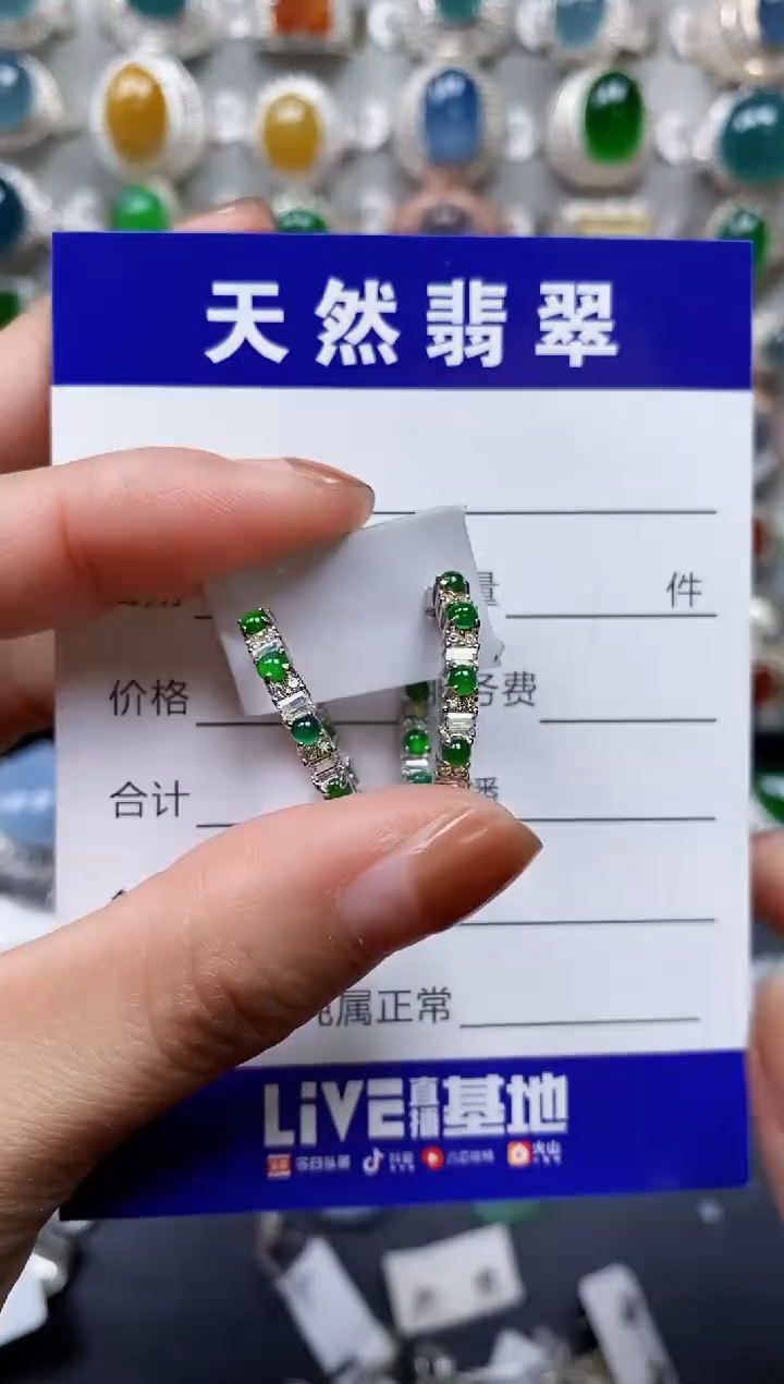 【闪购商品】翡翠耳饰银S925镶嵌0380