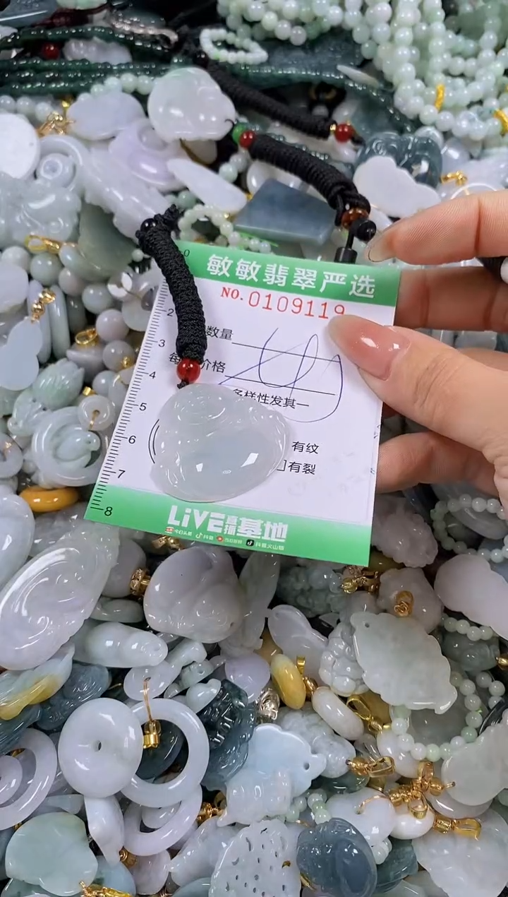 【闪购商品】翡翠颈饰未镶嵌闪购0109119多样性发其一