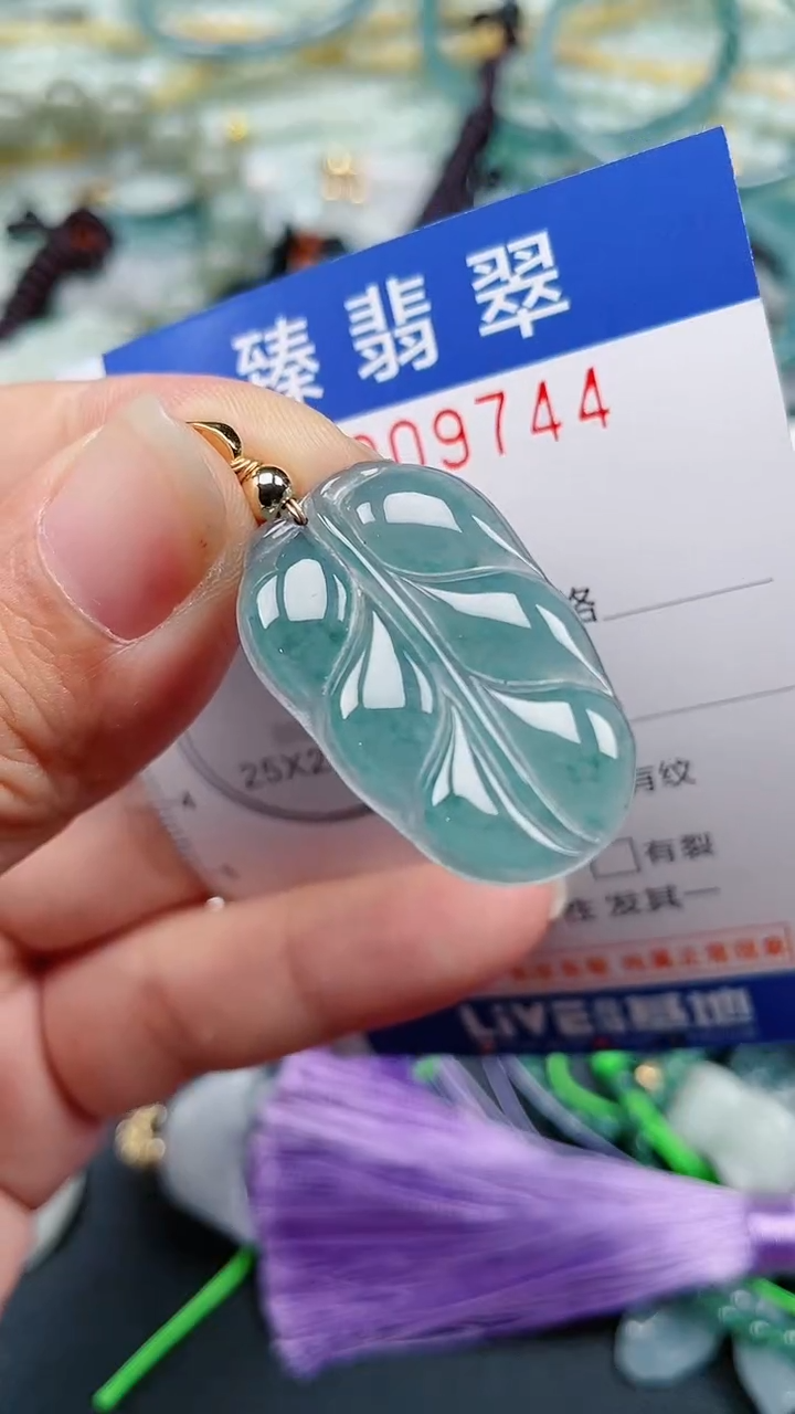 颈饰未镶嵌翡翠.0009744