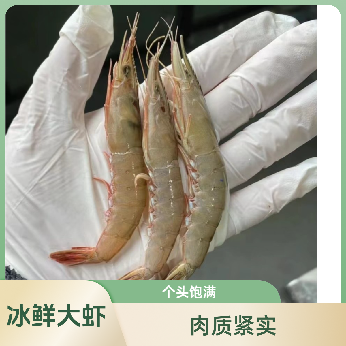 东海野生滑皮下条虾特大号一斤60头左右到手3斤冰鲜发货大青壳