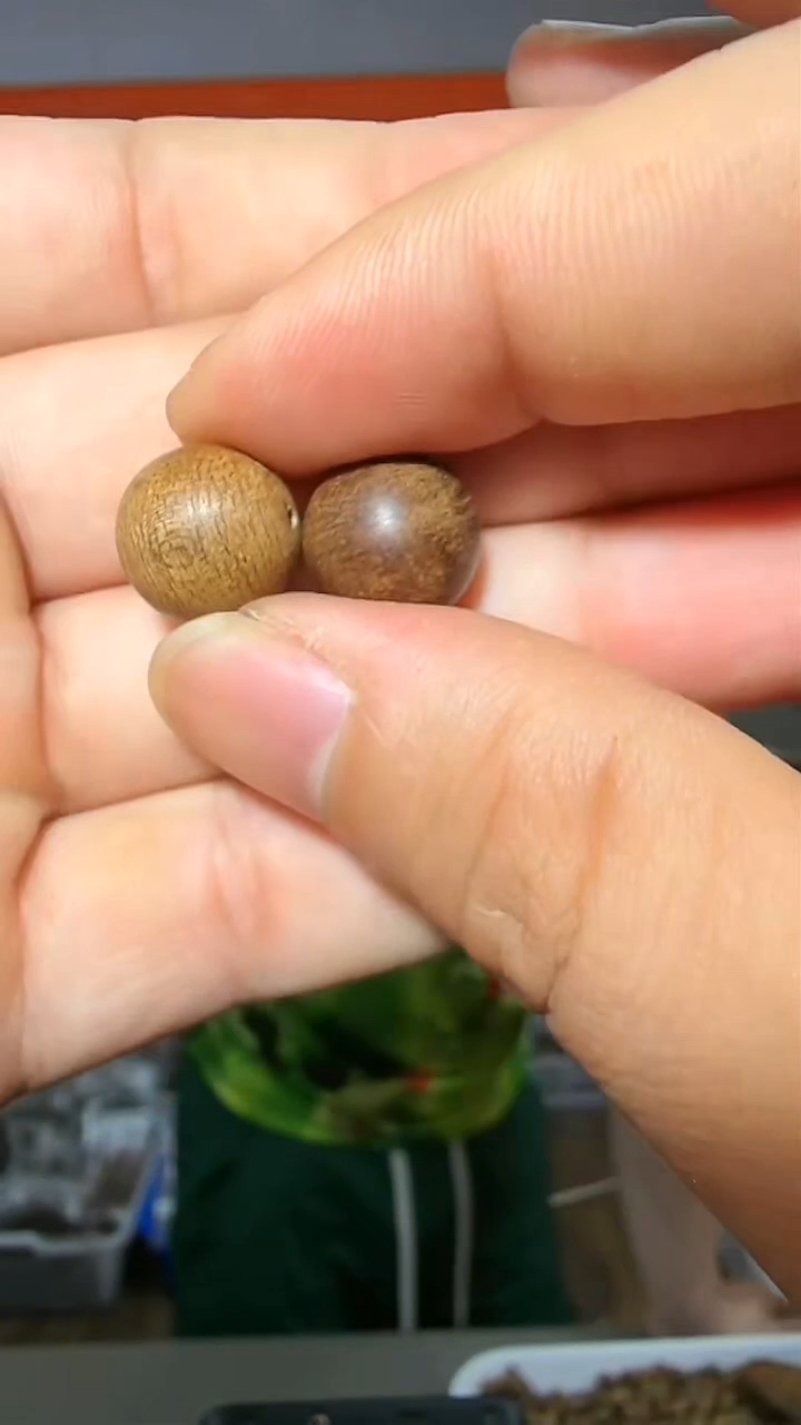 沉香吊坠8号红土珠子一对多样性发一