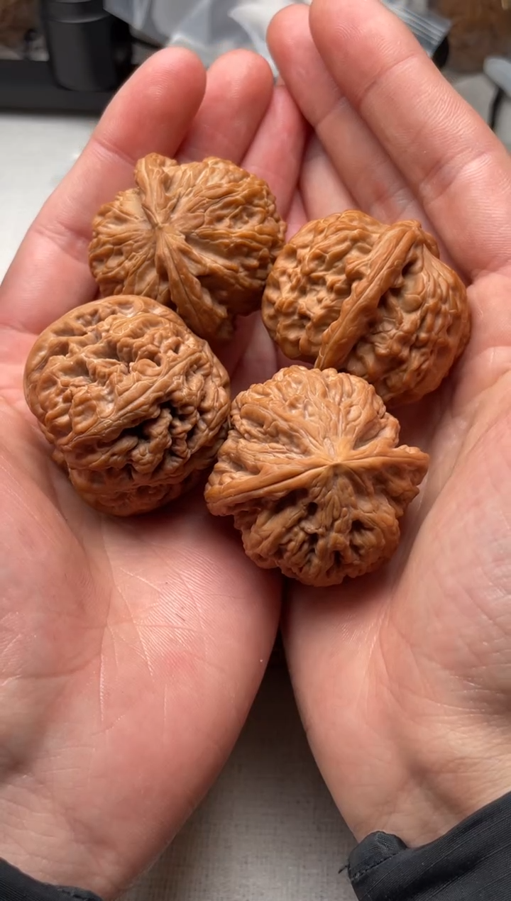 把件文玩核桃话****酒粗筋和白狮子两对