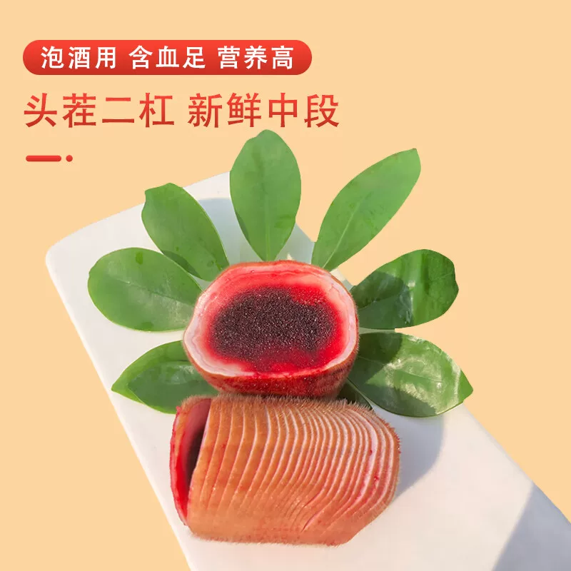 “钰麟晟源专供”新鲜鹿茸头茬中段 可煲汤泡酒