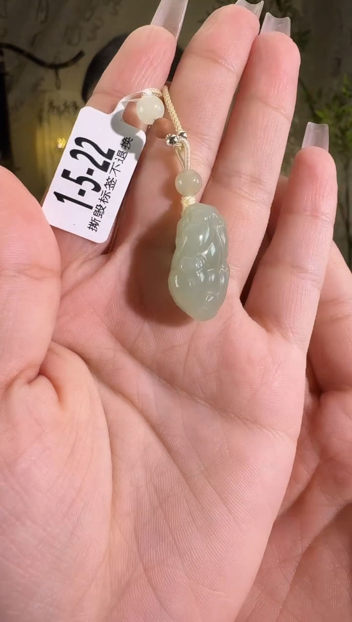 【闪购商品】和田玉颈饰未镶嵌貔貅