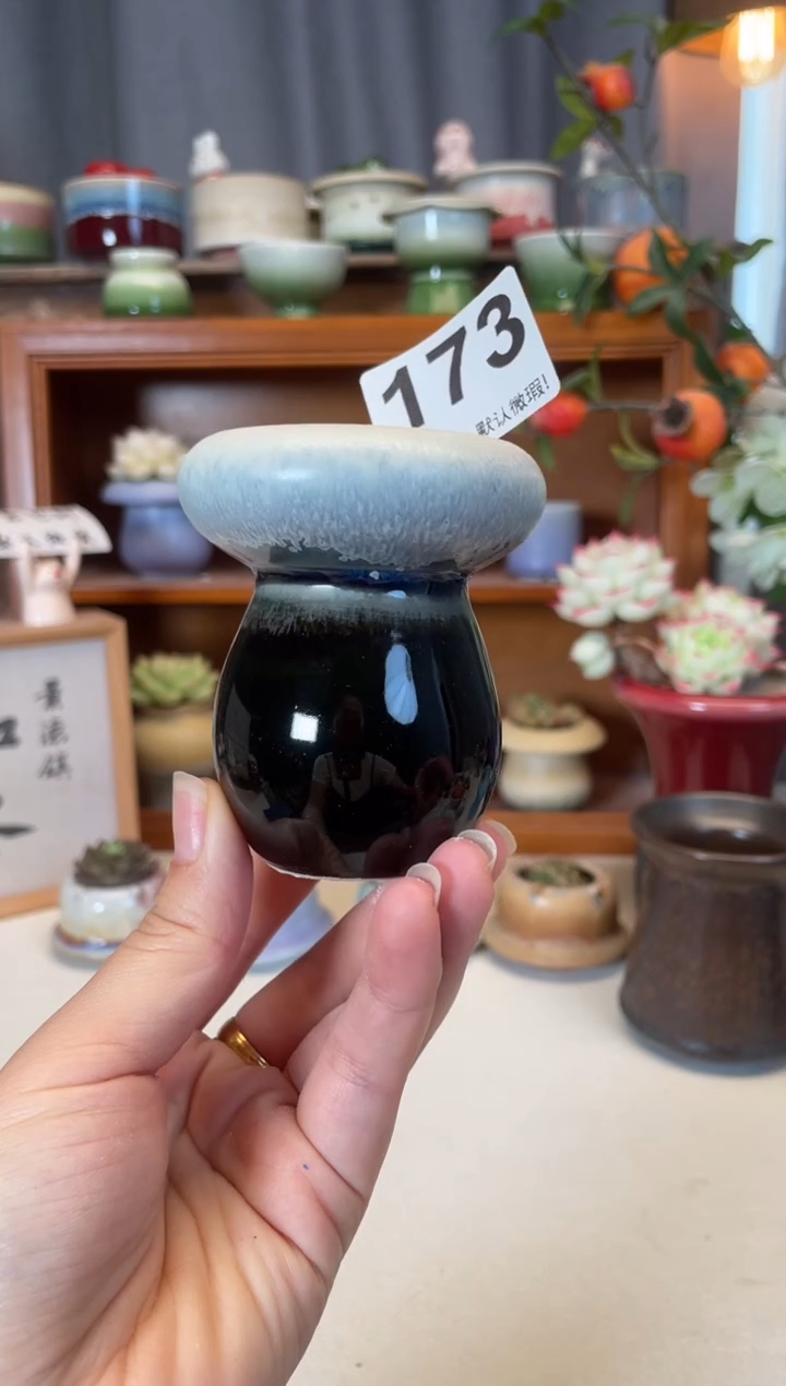 瓷片173知木小芳花盆