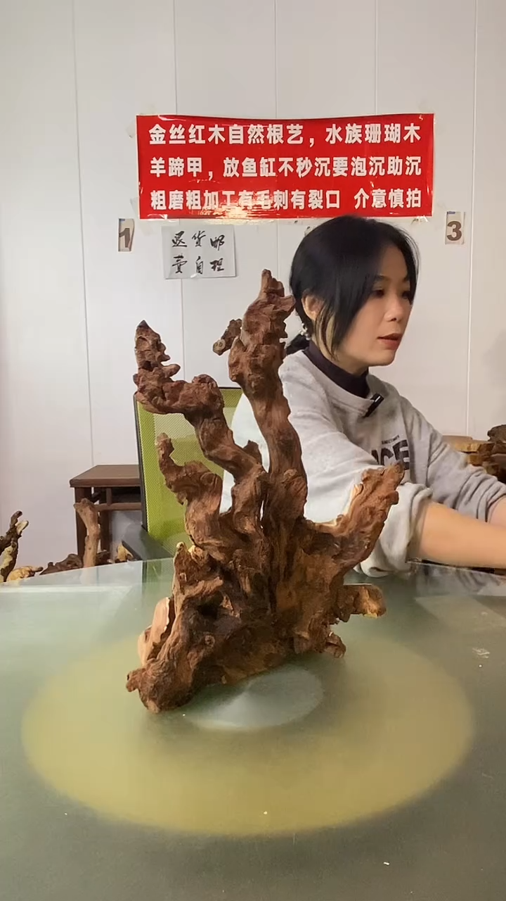 木聪*金丝红木  羊蹄甲