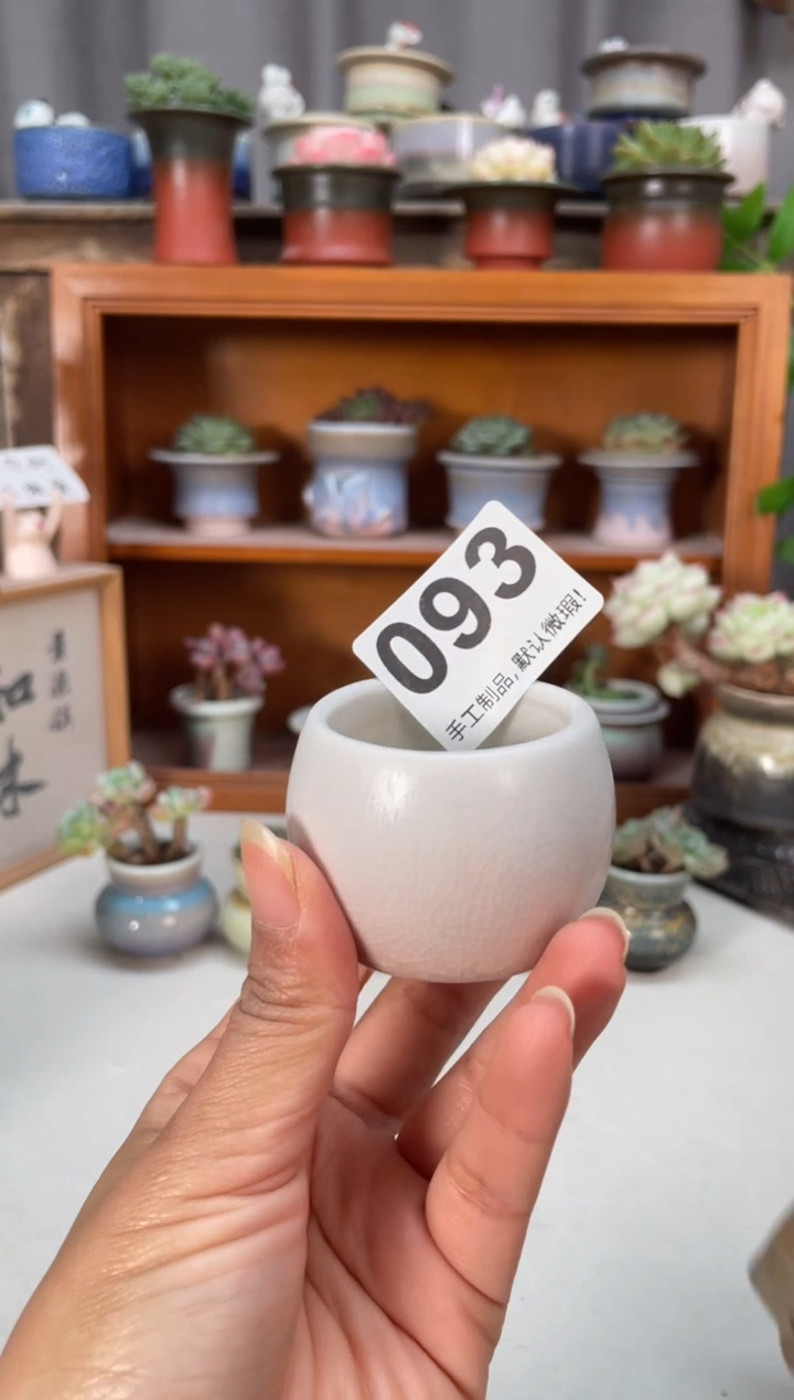 瓷片093知木小芳花盆