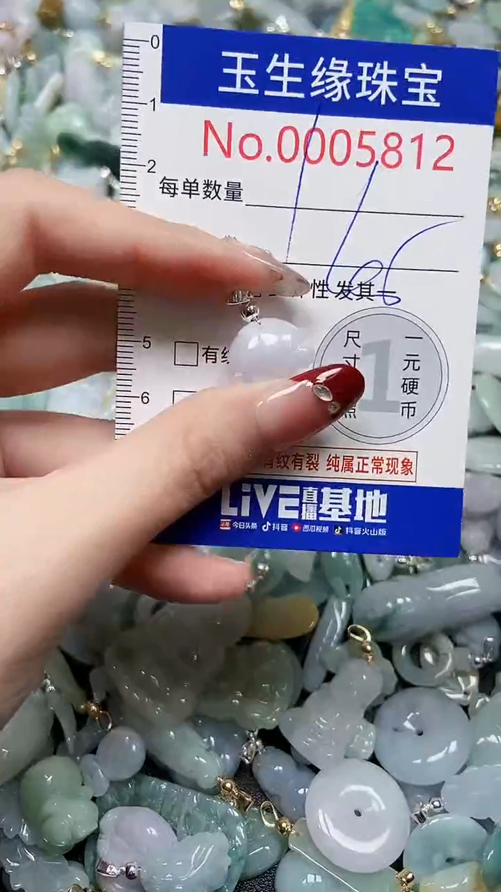 【闪购商品】翡翠颈饰未镶嵌闪购00005812