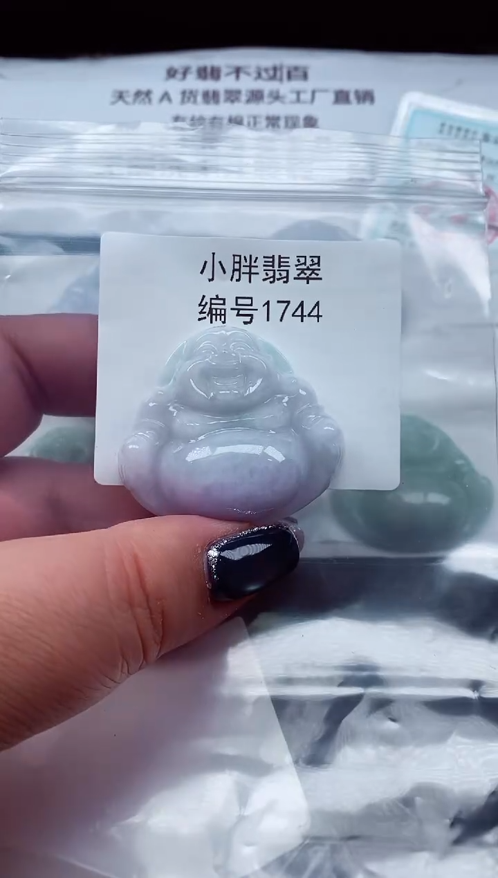 颈饰未镶嵌翡翠缅甸天然A货翡翠1744