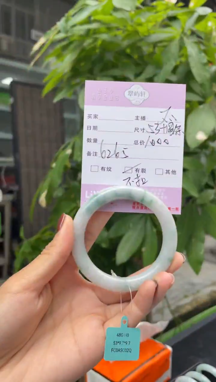 未镶嵌手镯翡翠G 53圆条 6265 
