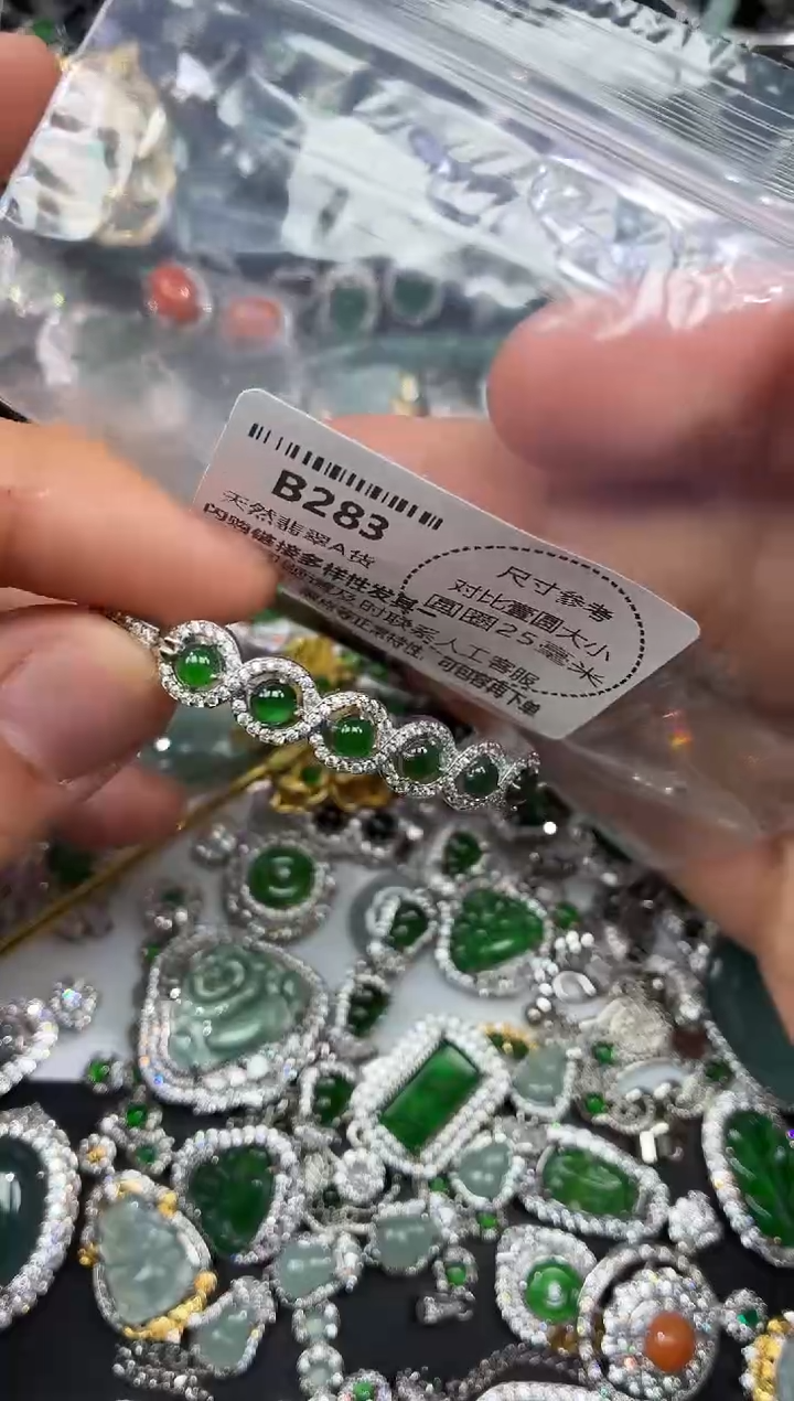 颈饰未镶嵌翡翠B283手镯