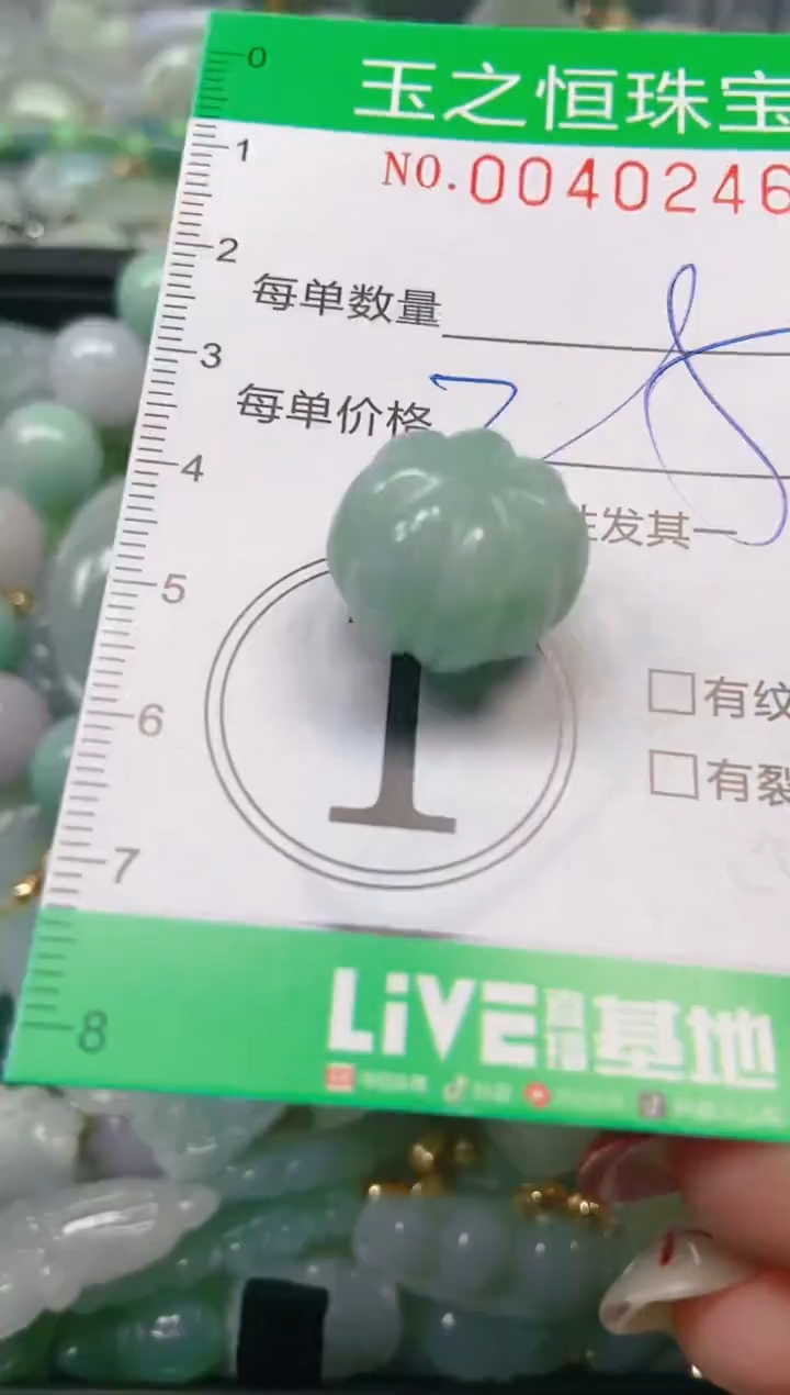 【闪购商品】翡翠颈饰未镶嵌闪购0040246