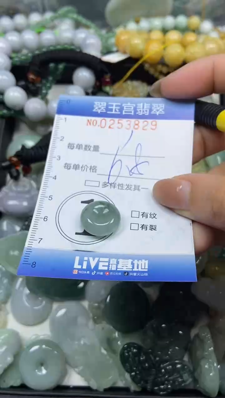 颈饰未镶嵌翡翠闪购C0253829