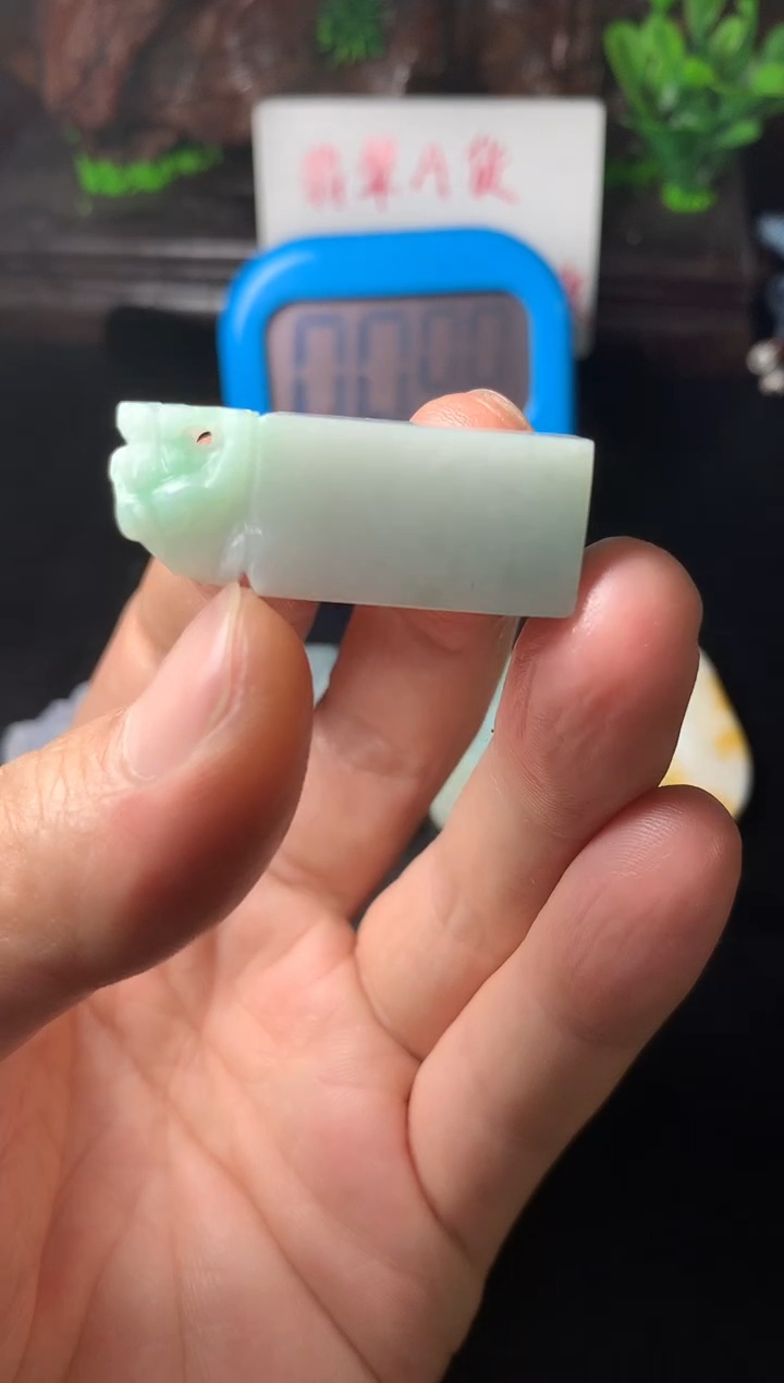 颈饰未镶嵌翡翠释*印章