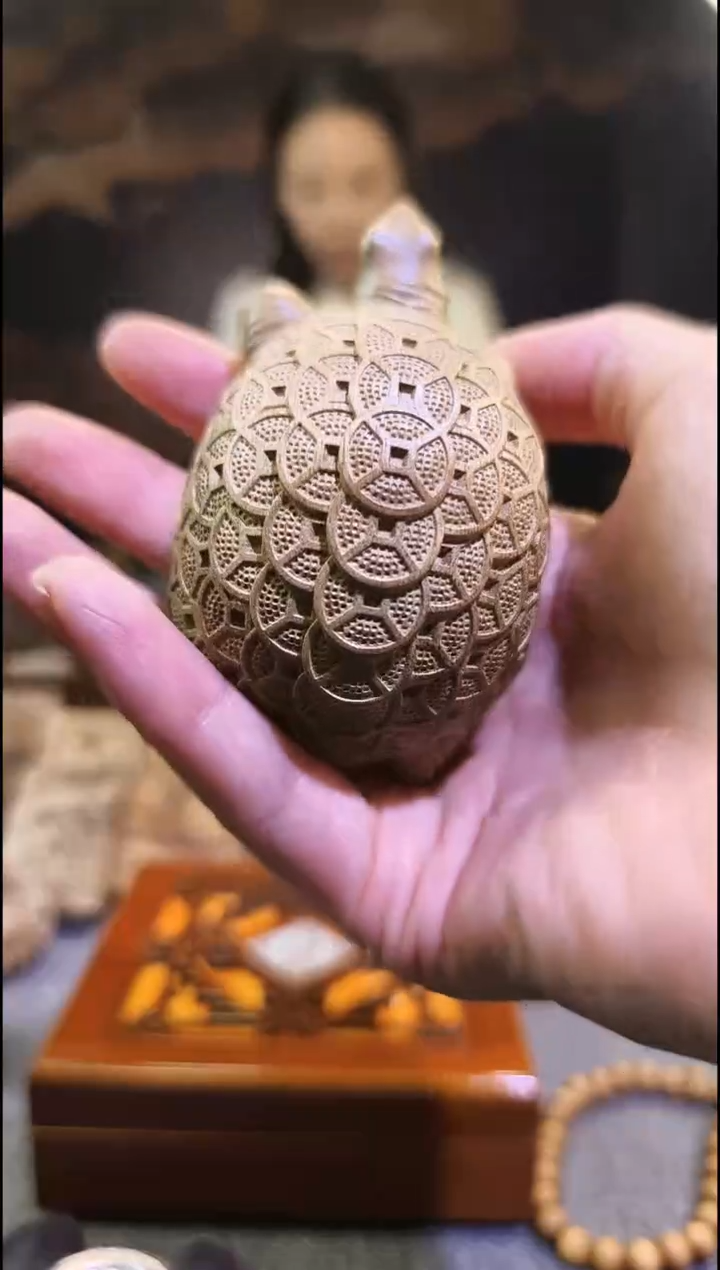 金丝楠       金钱龟