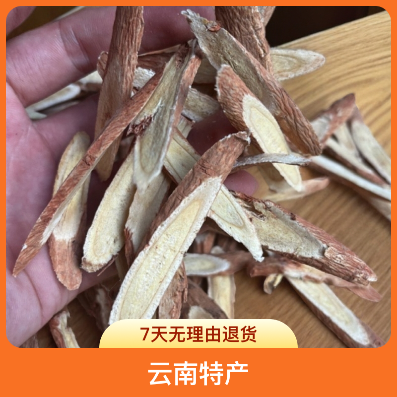 云南特产黄起菌菇新鲜食材