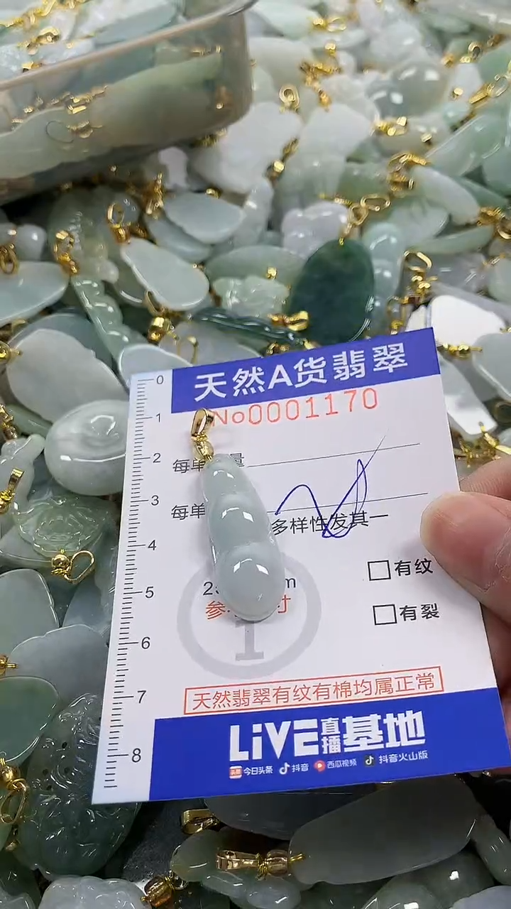 颈饰未镶嵌翡翠纯天然a货翡翠
