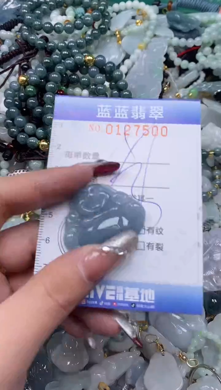 【闪购商品】翡翠颈饰未镶嵌闪购0127500多样性发其一