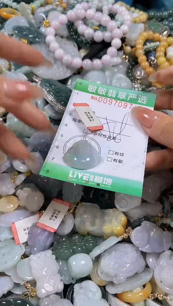 【闪购商品】翡翠颈饰未镶嵌闪购0097097