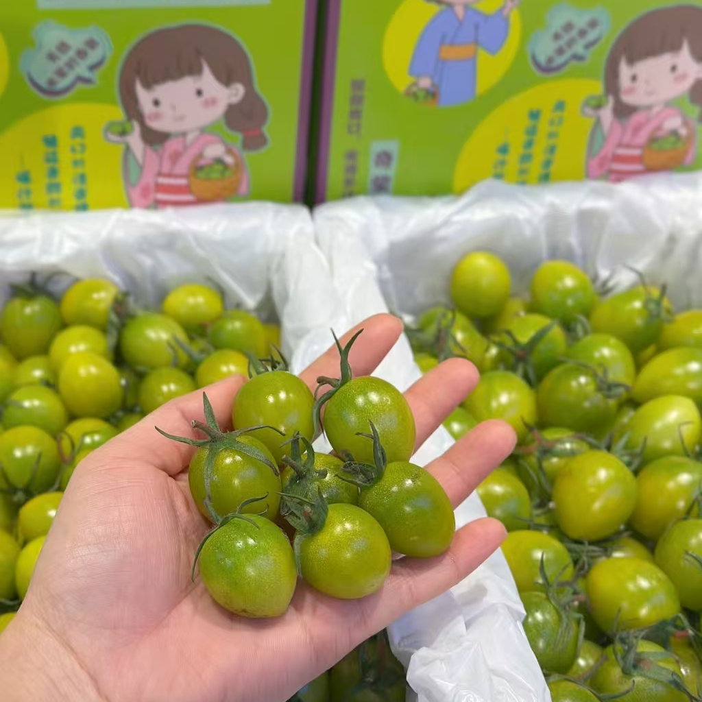 青甜千禧 绿色的小糖豆 25元/斤绿色樱桃小番茄广东省