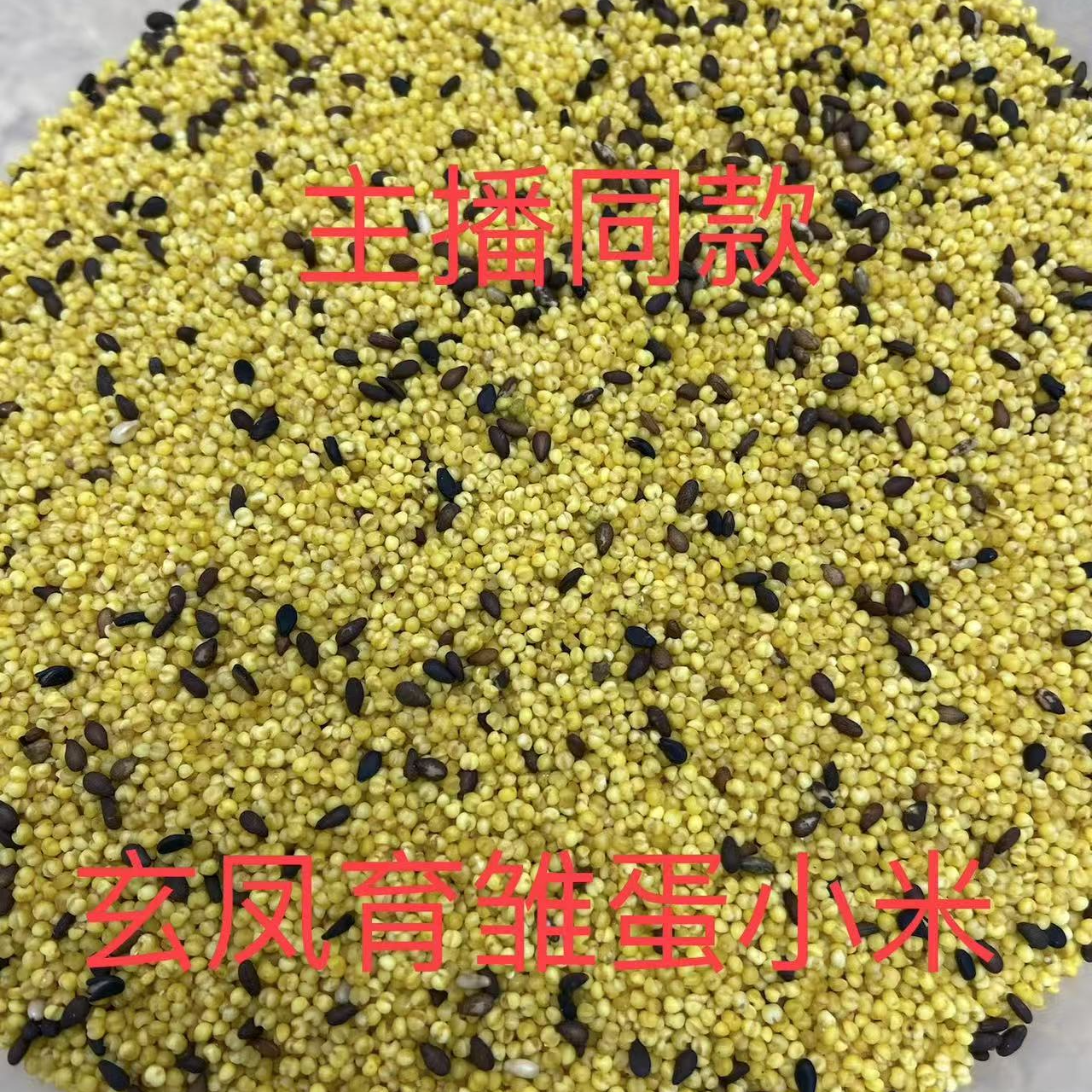 主播同款自制雏鸟蛋鹦鹉小米，送勺子和喂蛋鹦鹉小米工具